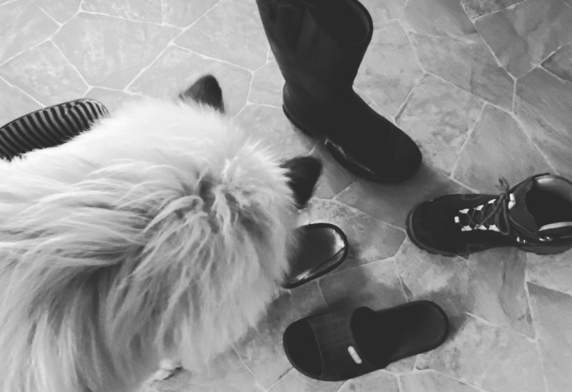 Wiesdaller Füß‘ un Frankfurter&nbsp;Schuh‘