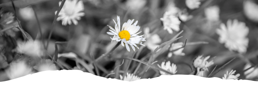 Die Melodie der Leere