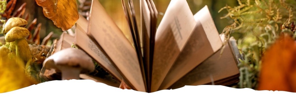 Warum Hexen und Wölfe nur Statisten&nbsp;sind